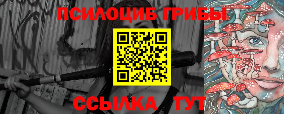 Псилоцибиновые грибы мухоморы  Вход с VPN  Псков  Псилоцибиновые грибы мицелий 